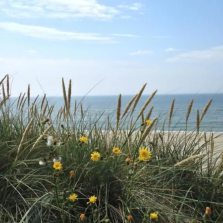 Puschmann-app-26 Daire *