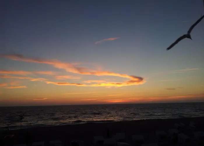 Puschmann-app-26 Appartement